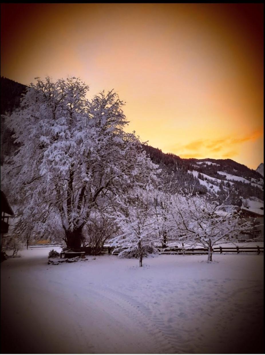 Hirzbachgut Villa Fusch an der Grossglocknerstrasse ภายนอก รูปภาพ